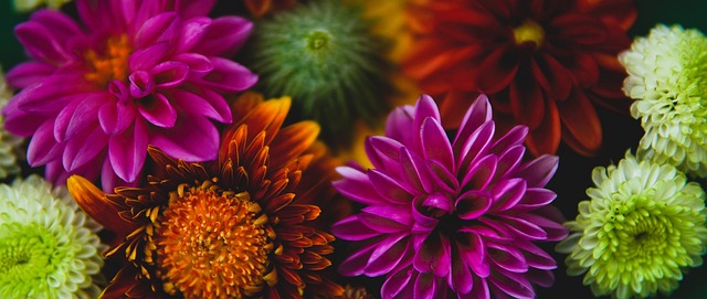 场比赛中的 场比赛中的