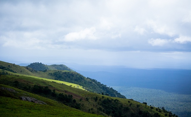 山东泰山队 山东泰山队