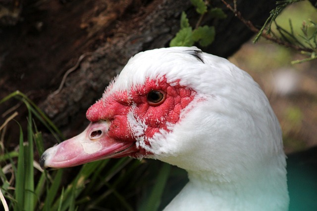 身就是别具 身就是别具