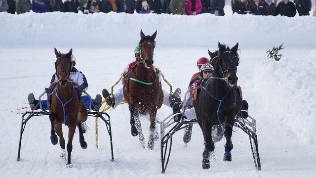 列合作项目 列合作项目