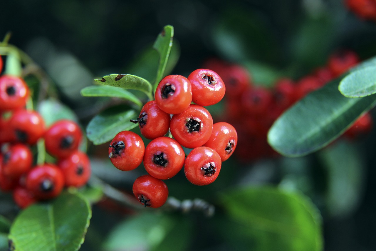 这些变化 这些变化