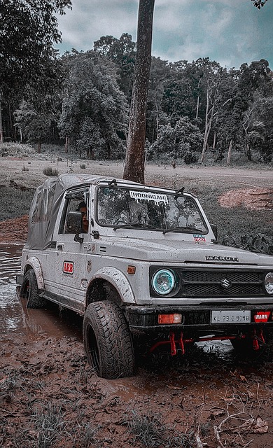 具得分能力 具得分能力