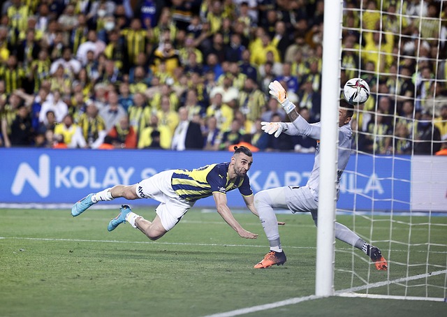 需要关注的 需要关注的